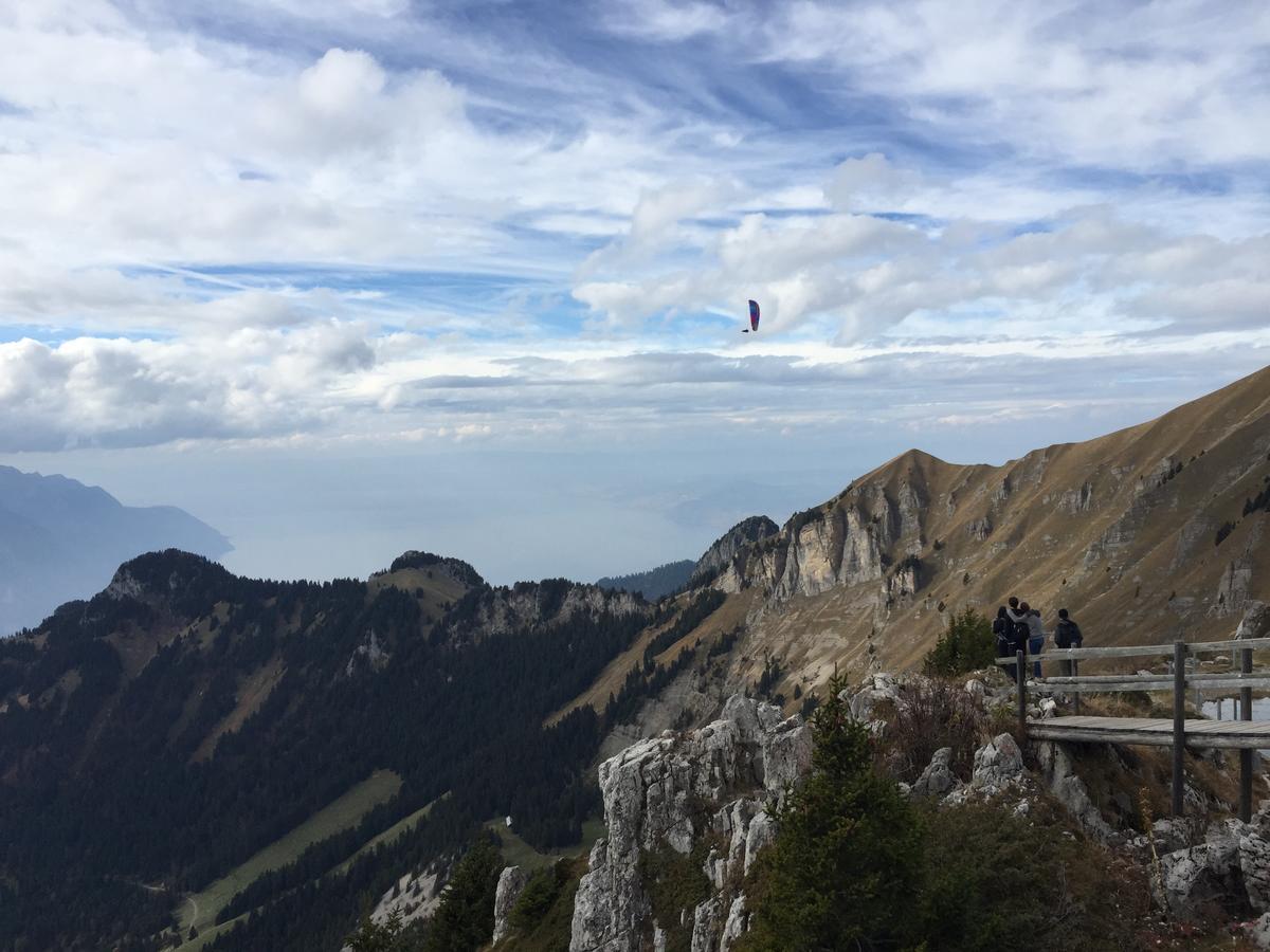 Roc D'Orsay E51 Daire Leysin Dış mekan fotoğraf